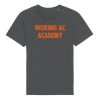Rocker the essential unisex t-shirt (STTU758) Thumbnail